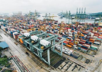 EuroDry in Q2 2024: 68.7% Revenue Growth Amid Market Challenges