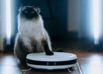 iRobot (IRBT) is Undervalued: Strong Margins & AI Innovation Suggest Upside Potential