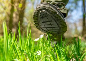 Deckers Outdoor (DECK) is the Footwear Stock Everyone’s Talking About – And You Should Too