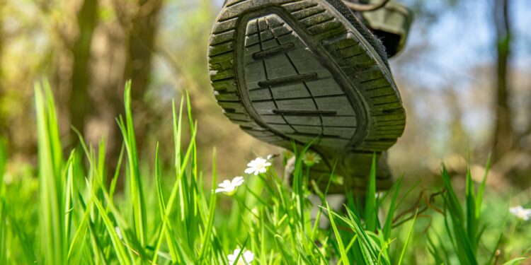 Deckers Outdoor (DECK) is the Footwear Stock Everyone’s Talking About – And You Should Too