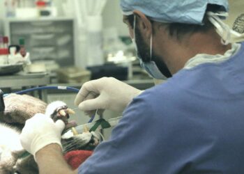 This $500+ Stock Is Quietly Dominating Surgery — Intuitive Surgical (ISRG) Could Go Even Higher