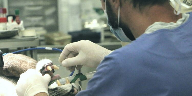 This $500+ Stock Is Quietly Dominating Surgery — Intuitive Surgical (ISRG) Could Go Even Higher