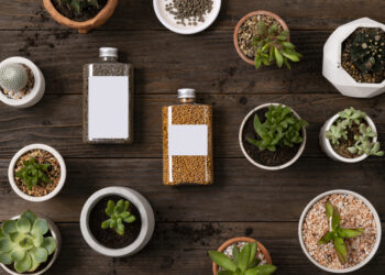 The $20M Boost That Could Turn Bolt Projects (BSLK) Into a Clean Beauty Powerhouse