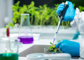 MannKind (MNKD) Can Become the Next Big Biotech Winner in 2025