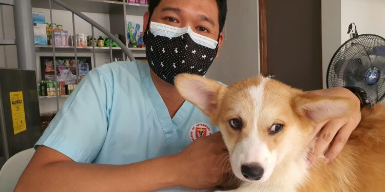 Vine Hill Capital (VCIC) Merges With $10B CoinShares in $1.2B Deal