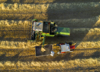 Imperial Petroleum (IMPP) Surges After 38.6% Rally