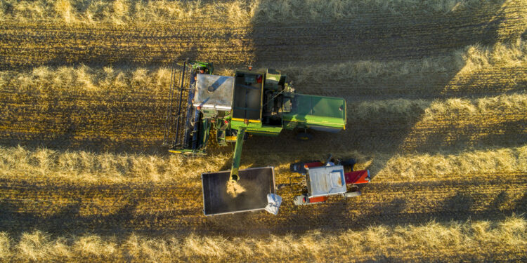 Imperial Petroleum (IMPP) Surges After 38.6% Rally