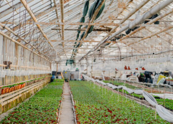 Investors Are Suddenly Watching iPower Inc. (IPW): Here’s Why Its $2M Debt Move Changes Everything