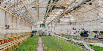 Investors Are Suddenly Watching iPower Inc. (IPW): Here’s Why Its $2M Debt Move Changes Everything