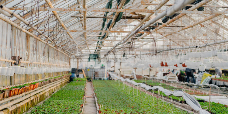 Investors Are Suddenly Watching iPower Inc. (IPW): Here’s Why Its $2M Debt Move Changes Everything