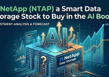 Is NetApp (NTAP) a Smart Data Storage Stock to Buy in the AI Boom?