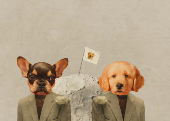 Datadog (DDOG) Jumps 7.11% but Can Its Business Keep Pace?