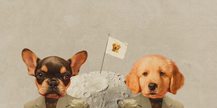 Datadog (DDOG) Jumps 7.11% but Can Its Business Keep Pace?